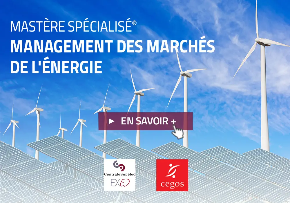 cegos, mastere specialise, Energy Manager