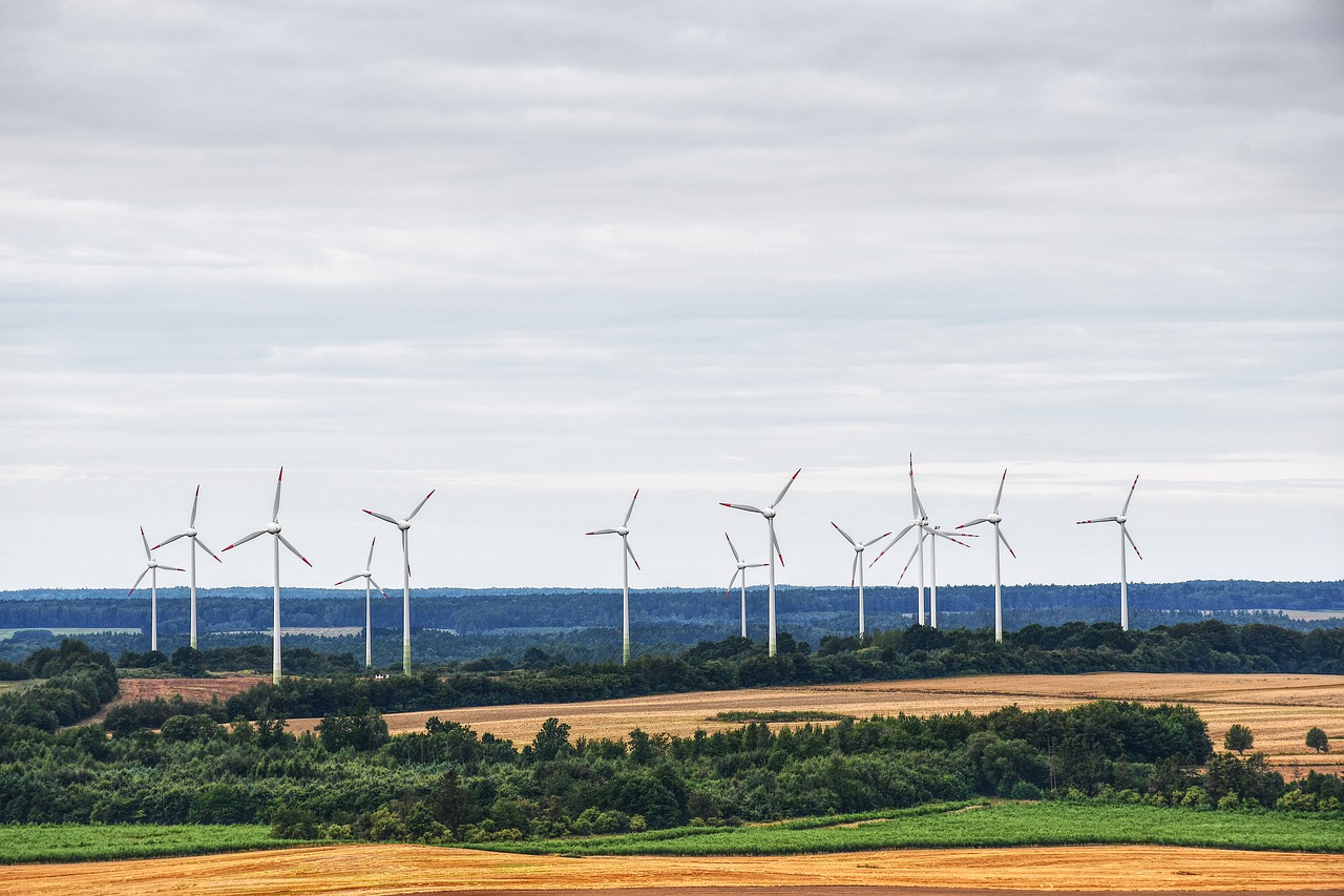 L Allemagne N Investit Plus Assez Dans L Eolien Pour Atteindre Son Objectif De Neutralite Carbone Enerzine