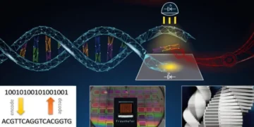 La biologie synthétique : une nouvelle ère pour le stockage massif de données ?