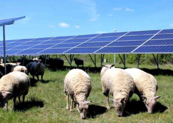 300 000 panneaux solaires effacent le passé militaire de deux anciennes bases