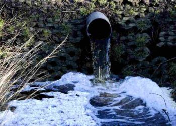 Gestion de l'eau : l'Europe championne des brevets d'après une étude de l'OEB