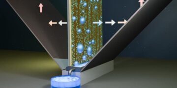 Un dispositif ingénieux transforme l'air du désert en source d'eau précieuse