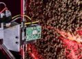 Des robots espions au cœur des ruches : la vie secrète des abeilles dévoilée