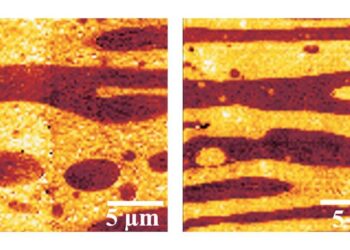 Les biomatériaux thermoplastiques atteignent une résistance sans précédent