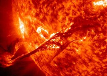 Des cernes d'arbres révèlent une tempête solaire dévastatrice vieille de 2700 ans