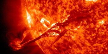 Des cernes d'arbres révèlent une tempête solaire dévastatrice vieille de 2700 ans