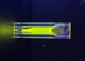 Recyclage quantique : 85% des nanoparticules récupérées pour de nouveaux lasers