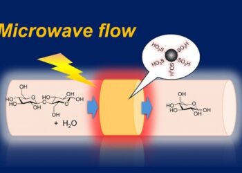 Un dispositif ingénieux transforme la biomasse en ressources utiles par micro-ondes