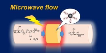 Un dispositif ingénieux transforme la biomasse en ressources utiles par micro-ondes