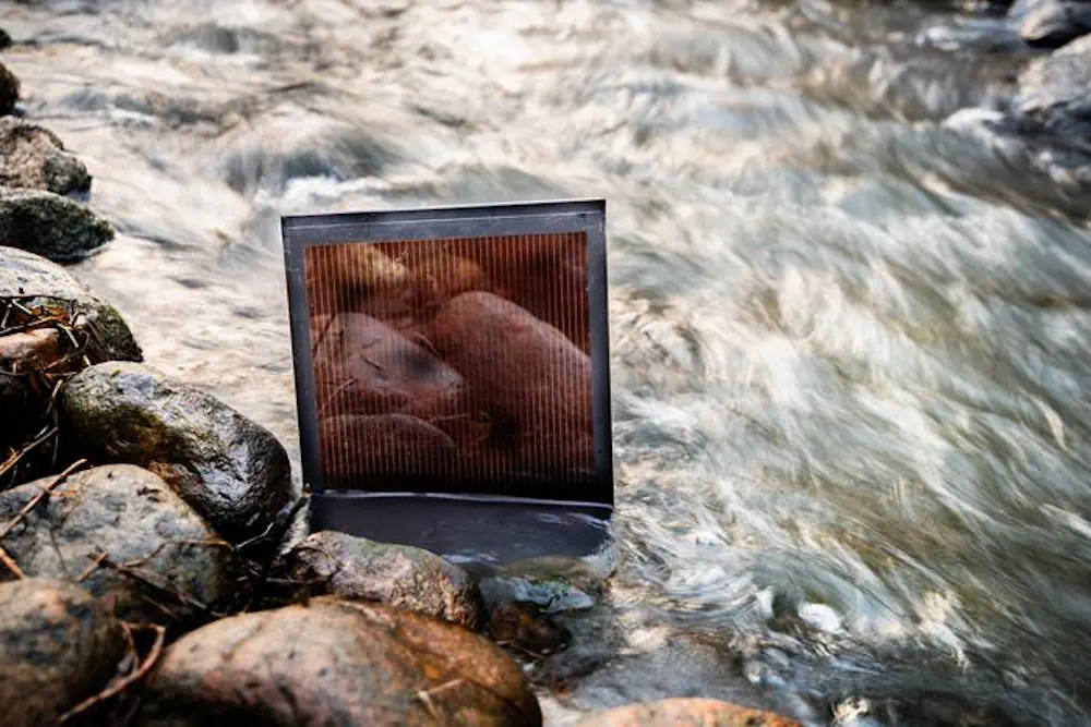 Des chercheurs de l'université de Linköping ont mis au point une méthode permettant de recycler à plusieurs reprises toutes les pièces d'une cellule solaire en pérovskite sans utiliser de solvants dangereux pour l'environnement.