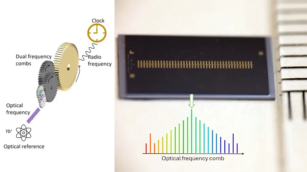 Comme les dents d'un peigne, un microcomb est constitué d'un spectre de fréquences lumineuses uniformément réparties. Les horloges atomiques optiques peuvent être construites en verrouillant une dent de micropeigne à un laser à largeur de ligne très étroite, qui à son tour se verrouille à une transition atomique avec une stabilité de fréquence extrêmement élevée. De cette manière, les peignes de fréquence agissent comme un pont entre la transition atomique à une fréquence optique et le signal d'horloge à une fréquence radio détectable électroniquement pour le comptage des oscillations, ce qui permet une précision extraordinaire. La puce photonique des chercheurs, à droite de l'image, contient 40 générateurs de microcombs et ne mesure que cinq millimètres de large.