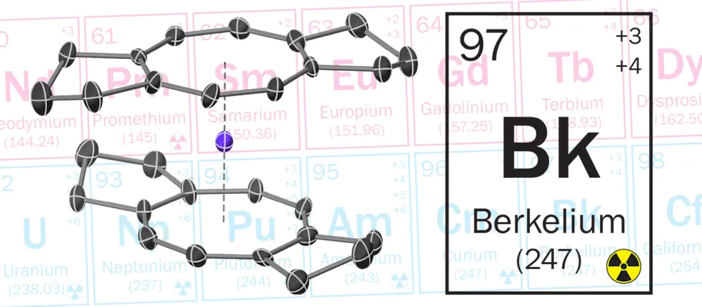 La structure radiographique du berkelocène montre un ion Bk(IV) pris en sandwich entre deux ligands cyclooctatetraene substitués.