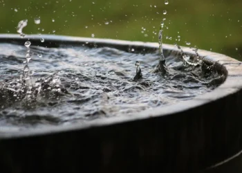 Eaux de pluie et eaux grises : dans quelles conditions est-il autorisé de les réutiliser en France ?