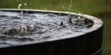 Eaux de pluie et eaux grises : dans quelles conditions est-il autorisé de les réutiliser en France ?