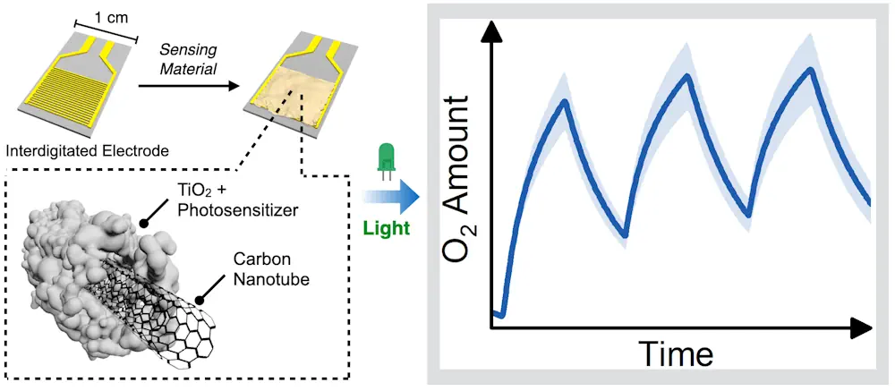 Le matériau du capteur est basé sur un composite de nanotubes de carbone et de dioxyde de titane (TiO2). Un colorant (photosensibilisateur) capte la lumière verte et rend le matériau du capteur sensible à l'oxygène.
