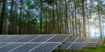 La métaphore du « terrain de football » fait glisser le débat sur l'énergie solaire